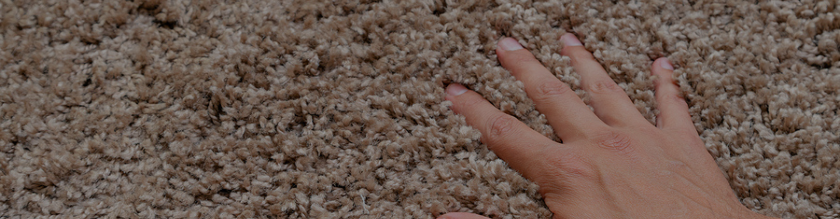 Beige plush carpet closeup shot with hand. 